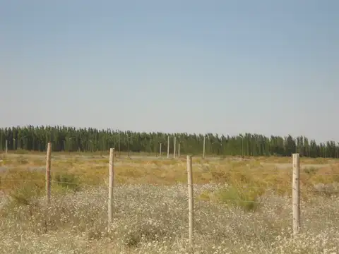 Terreno en Venta en Neuquen, USD 111