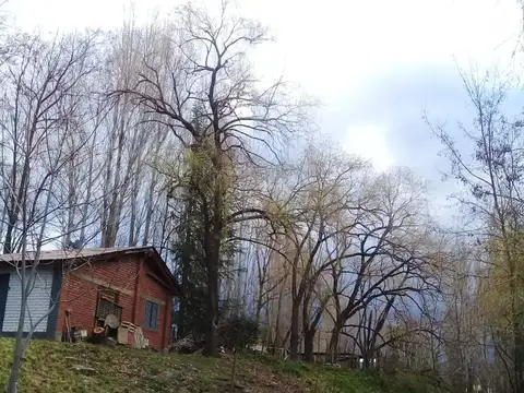 TERRENO IDEAL PARA COMPLEJO - CON 1 CABAÑA