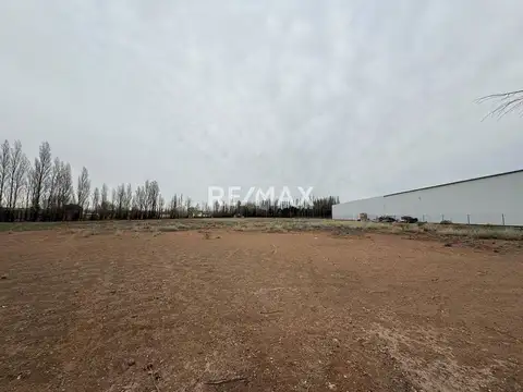 Venta chacra 2 hectáreas - Plottier frente a ruta