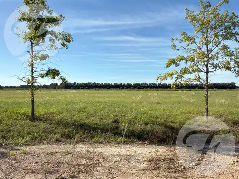 Venta de lote en Lago de Obligado San Pedro - Oportunidad de Inversión - Escritura Inmediata
