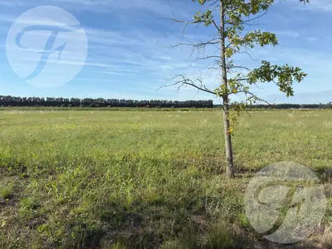 Terreno en Venta en San Pedro, USD 18.000