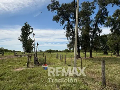 CAMPO 419 HAS - GANADERO-VENTA - COLONIA GUAYAIBI