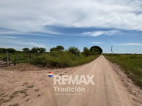 CAMPO 419 HAS - GANADERO-VENTA - COLONIA GUAYAIBI