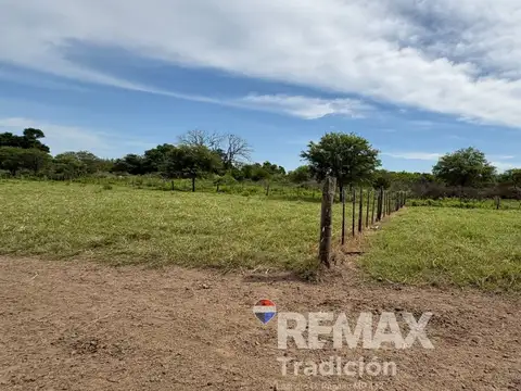 CAMPO 419 HAS - GANADERO-VENTA - COLONIA GUAYAIBI