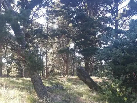 Terreno en Venta de 408,0 m2