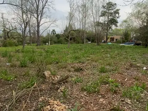 Terreno en Venta 50  mts Fondo