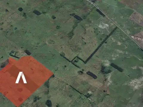 Campo en Venta - Altamirano