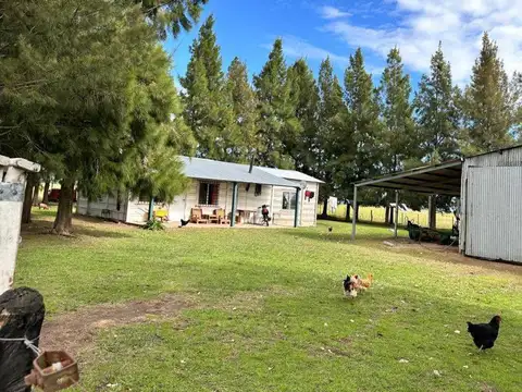 Camino Provincial 27-03