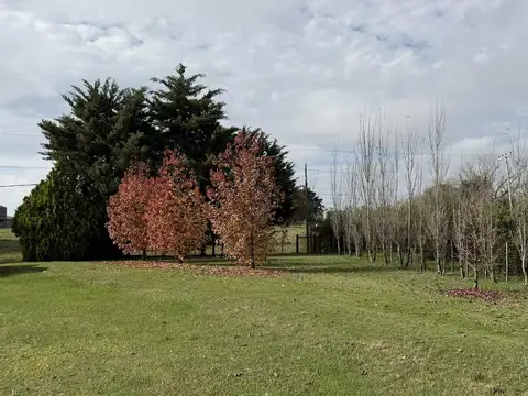 Quinta en Venta en Colon, USD 130.000