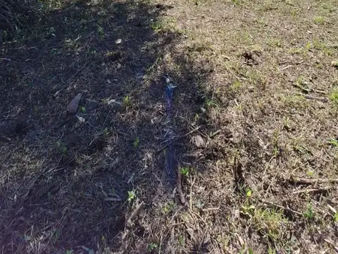 Terreno en Venta de 800,0 m2