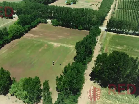 Terreno en Venta en Senillosa, USD 33.000