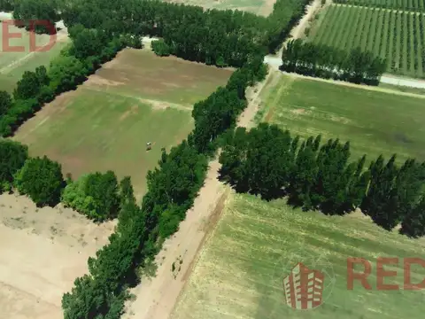 Terreno en Venta 130  mts Fondo