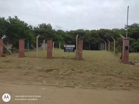 Moises Lebensohn 3000