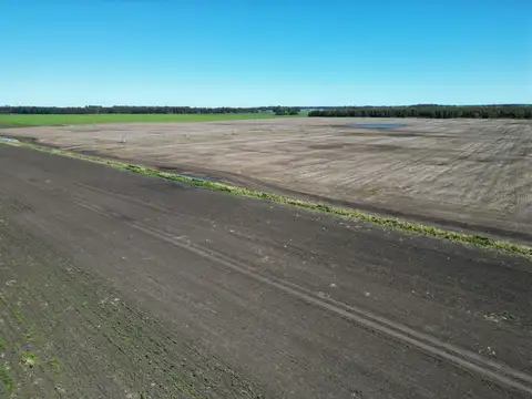 Campo en Venta Agricola