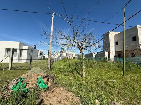 Terreno en Venta de 429,0 m2