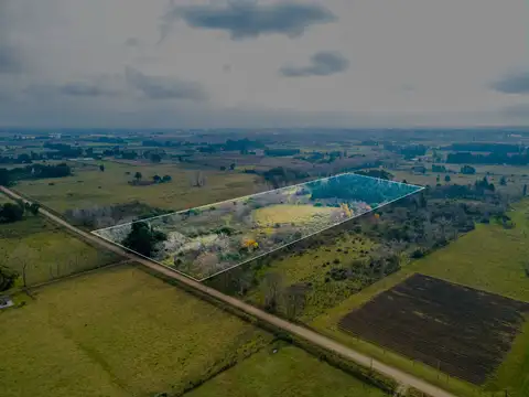 Venta de campo 5,6Ha en Rincon de Pando, Canelones