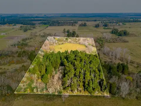 Venta de campo 5,6Ha en Rincon de Pando, Canelones