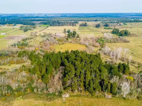 Venta de campo 5,6Ha en Rincon de Pando, Canelones