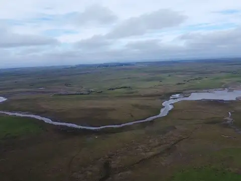 Campo Venta Gral. Lavalle 249 ha.- Sobre Asfalto