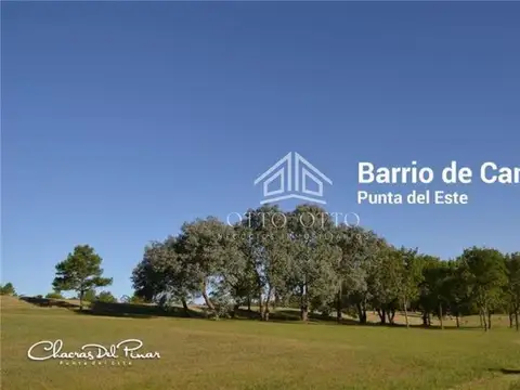 TERRENOS/FRACCIONES/LOTEOS - TERRENOS/FRACCIONES/LOTEOS - PUNTA BALLENA