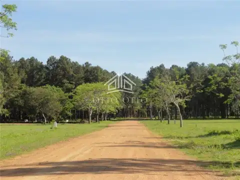 TERRENOS/FRACCIONES/LOTEOS - TERRENOS/FRACCIONES/LOTEOS - PUNTA BALLENA