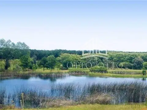 Terreno en venta Punta Del Este