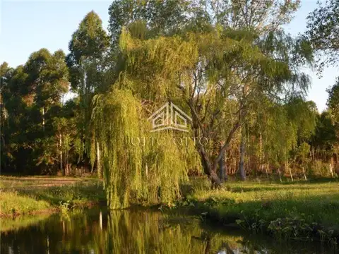 Terreno en Venta 38  mts Fondo