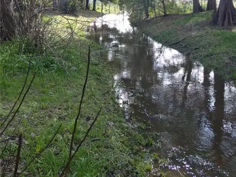 Campo en Venta Chacra