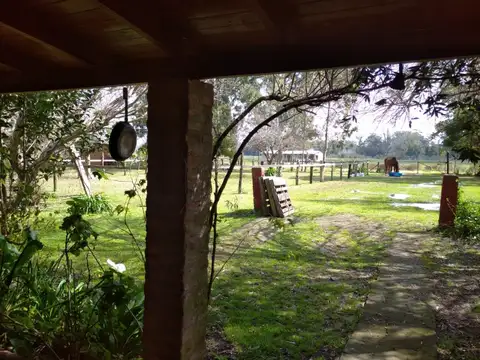 CIRCUNVALACION 3 100