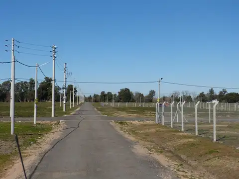 Parada Robles 100