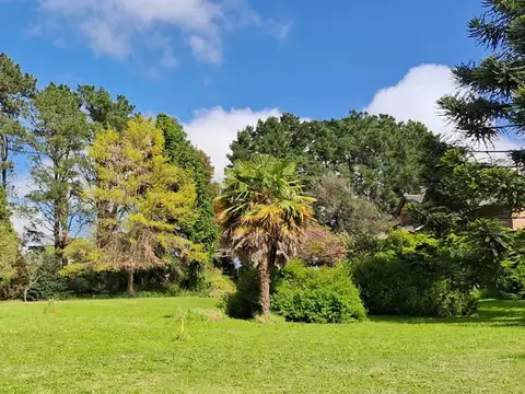 Terreno en Venta de 800,0 m2