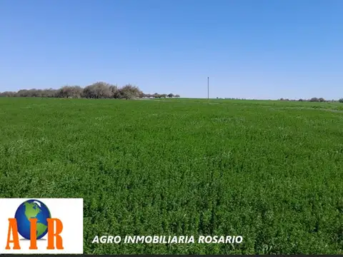 SANTIAGO DEL ESTERO 7000 HECT VTA AGRIC. OTRAS OFF MARKET