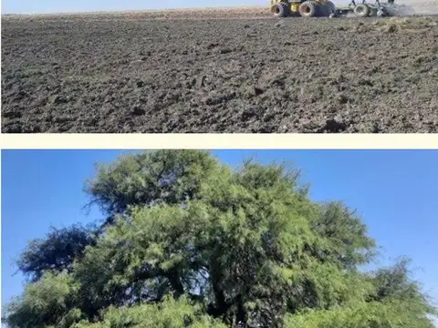 Campo en Venta de 1.500  ha