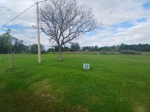 Mario Boye 100