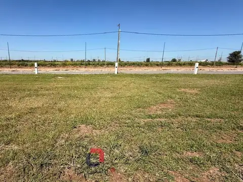 Mza 20