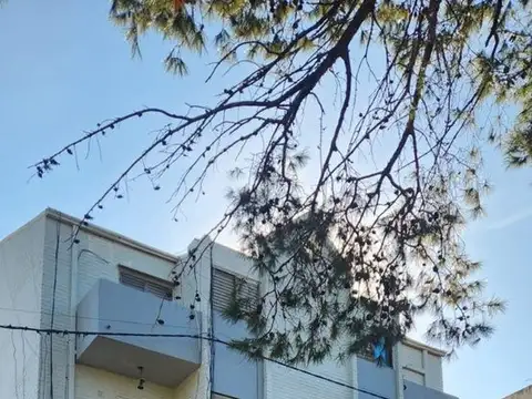 Avenida Gobernador Freyre 2300