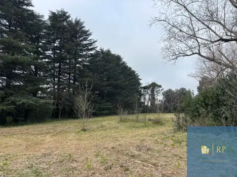 Galpón en venta de 16000m2  en Chivilcoy