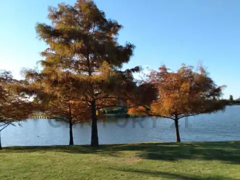 Terreno en Venta de 1167,0 m2