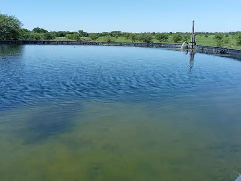 campo mixto de 205 has. alambrado a 10 kms de Castelli