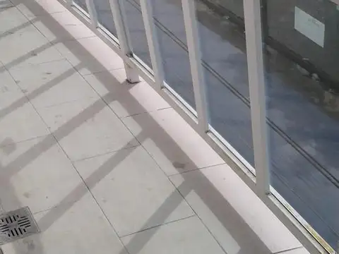 Diputado Pedrera 1600