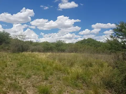Campo en Venta de 24  ha
