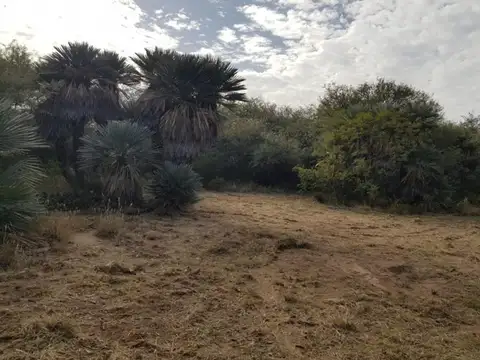 Campo en Venta Chacra