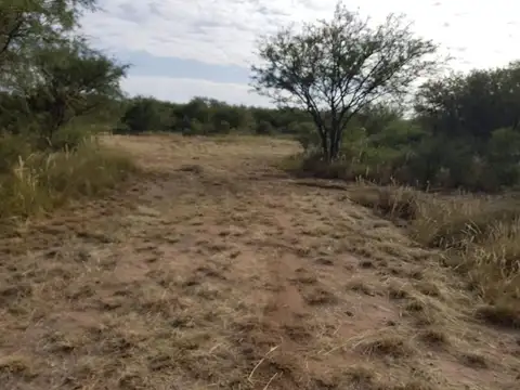 Campo en Venta Chacra
