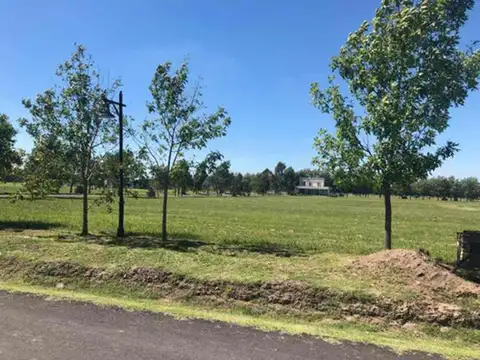 Haras Del Sur Iii