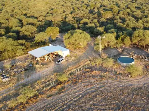 CAMPO EN VENTA 2150 HAS. GANADERO ZONA V. DOLORES