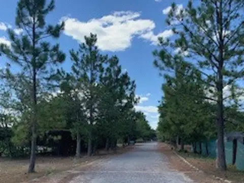 Camino Vuelta de Obligado APART CLUB