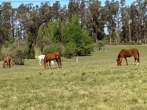 Terreno en Venta de 3400,0 m2