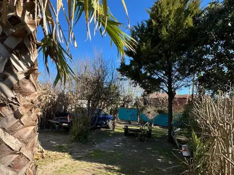 Corrientes al 1500