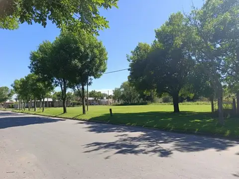 Lisandro de la Torre y Colón