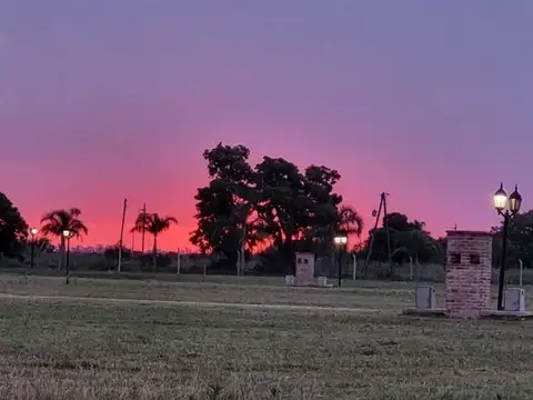 Terreno en Venta de 1000,0 m2